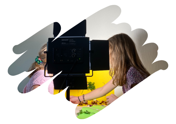 Multimeedia ja loovus – televisioon, animatsioon ja raadio